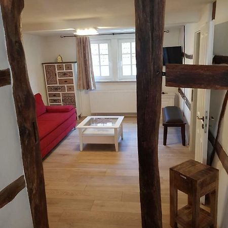 Zauberhafte Wohnung In Der Naehe Von Heidelberg, Top Lage Hirschhorn Luaran gambar