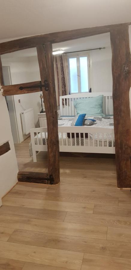 Zauberhafte Wohnung In Der Naehe Von Heidelberg, Top Lage Hirschhorn Luaran gambar