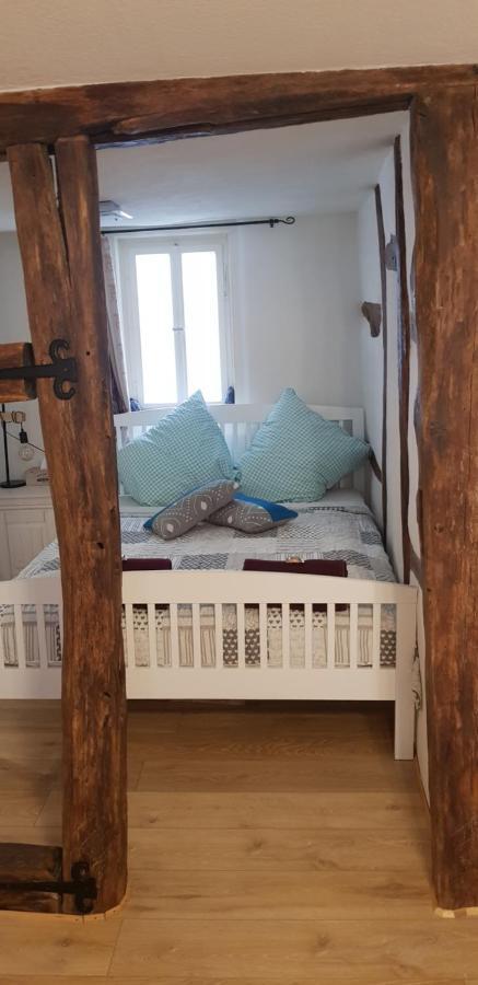 Zauberhafte Wohnung In Der Naehe Von Heidelberg, Top Lage Hirschhorn Luaran gambar