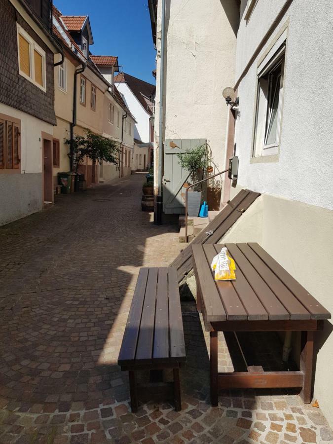 Zauberhafte Wohnung In Der Naehe Von Heidelberg, Top Lage Hirschhorn Luaran gambar