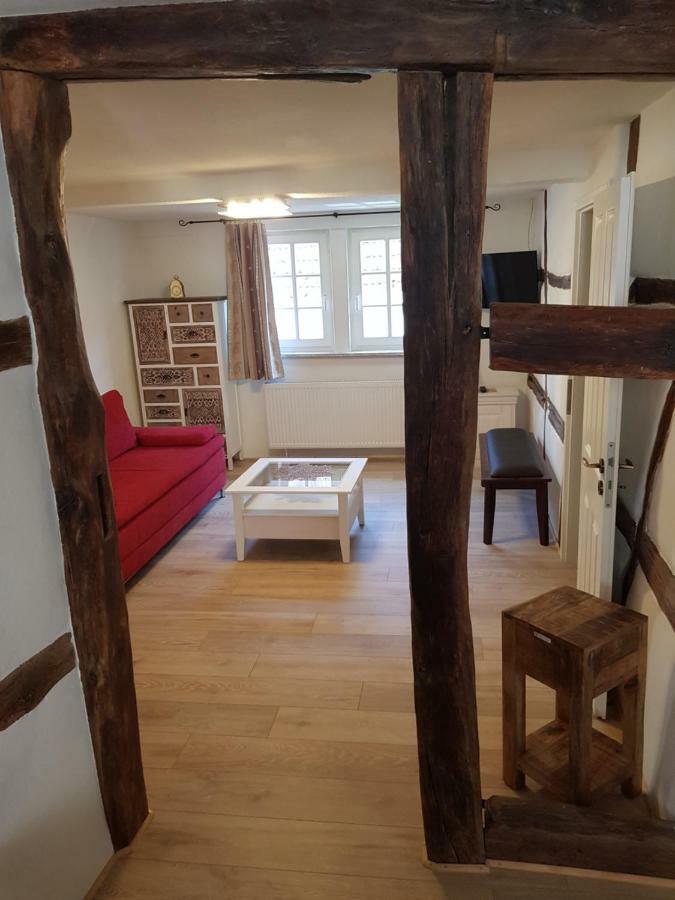 Zauberhafte Wohnung In Der Naehe Von Heidelberg, Top Lage Hirschhorn Luaran gambar