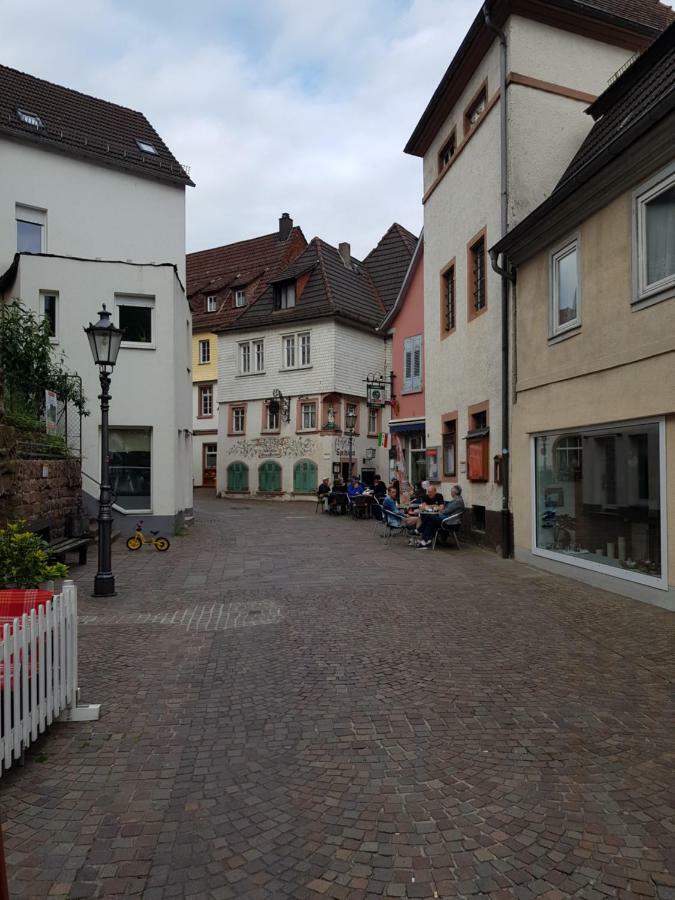 Zauberhafte Wohnung In Der Naehe Von Heidelberg, Top Lage Hirschhorn Luaran gambar