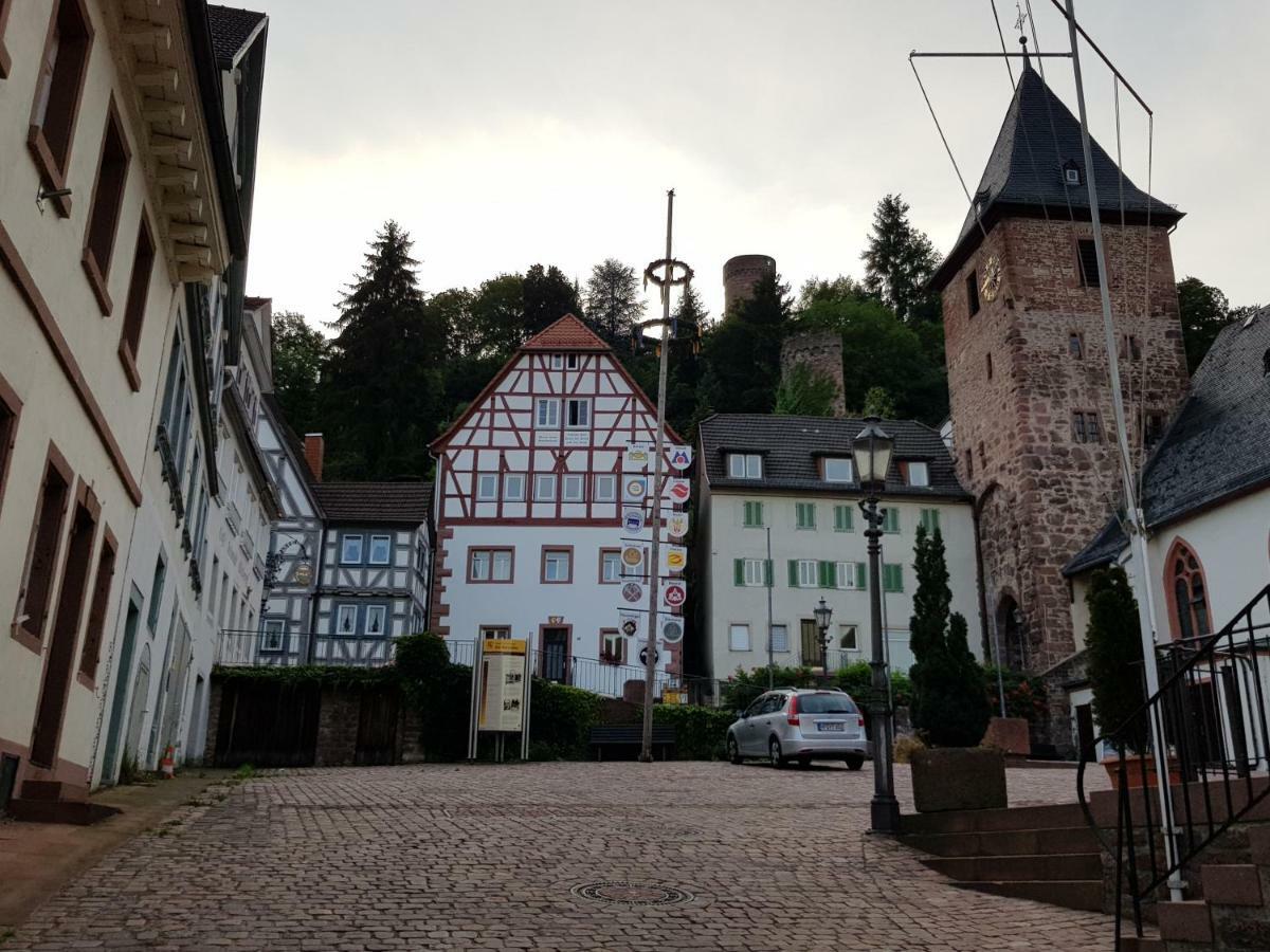Zauberhafte Wohnung In Der Naehe Von Heidelberg, Top Lage Hirschhorn Luaran gambar
