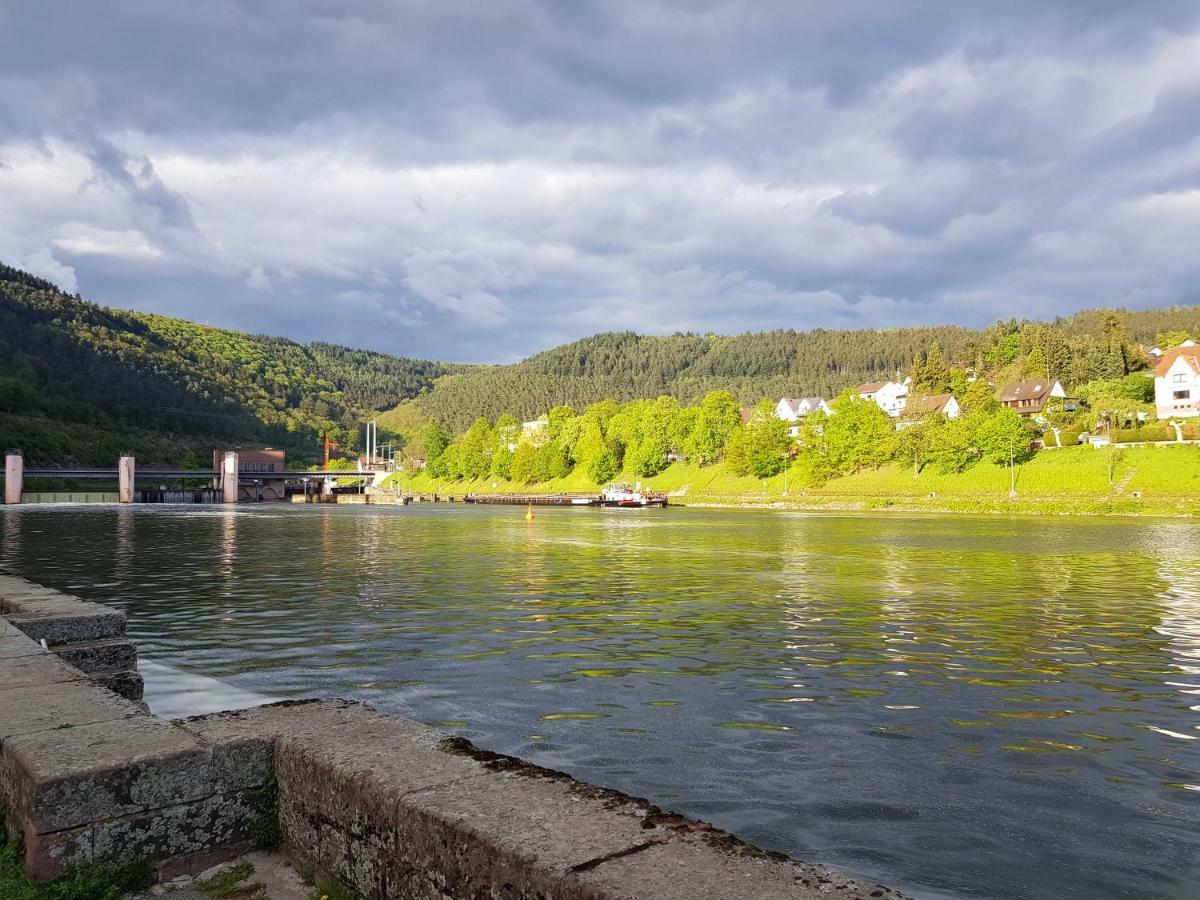 Zauberhafte Wohnung In Der Naehe Von Heidelberg, Top Lage Hirschhorn Luaran gambar