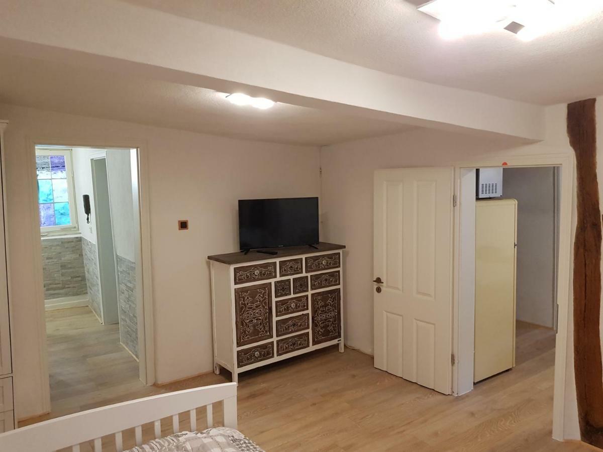 Zauberhafte Wohnung In Der Naehe Von Heidelberg, Top Lage Hirschhorn Luaran gambar