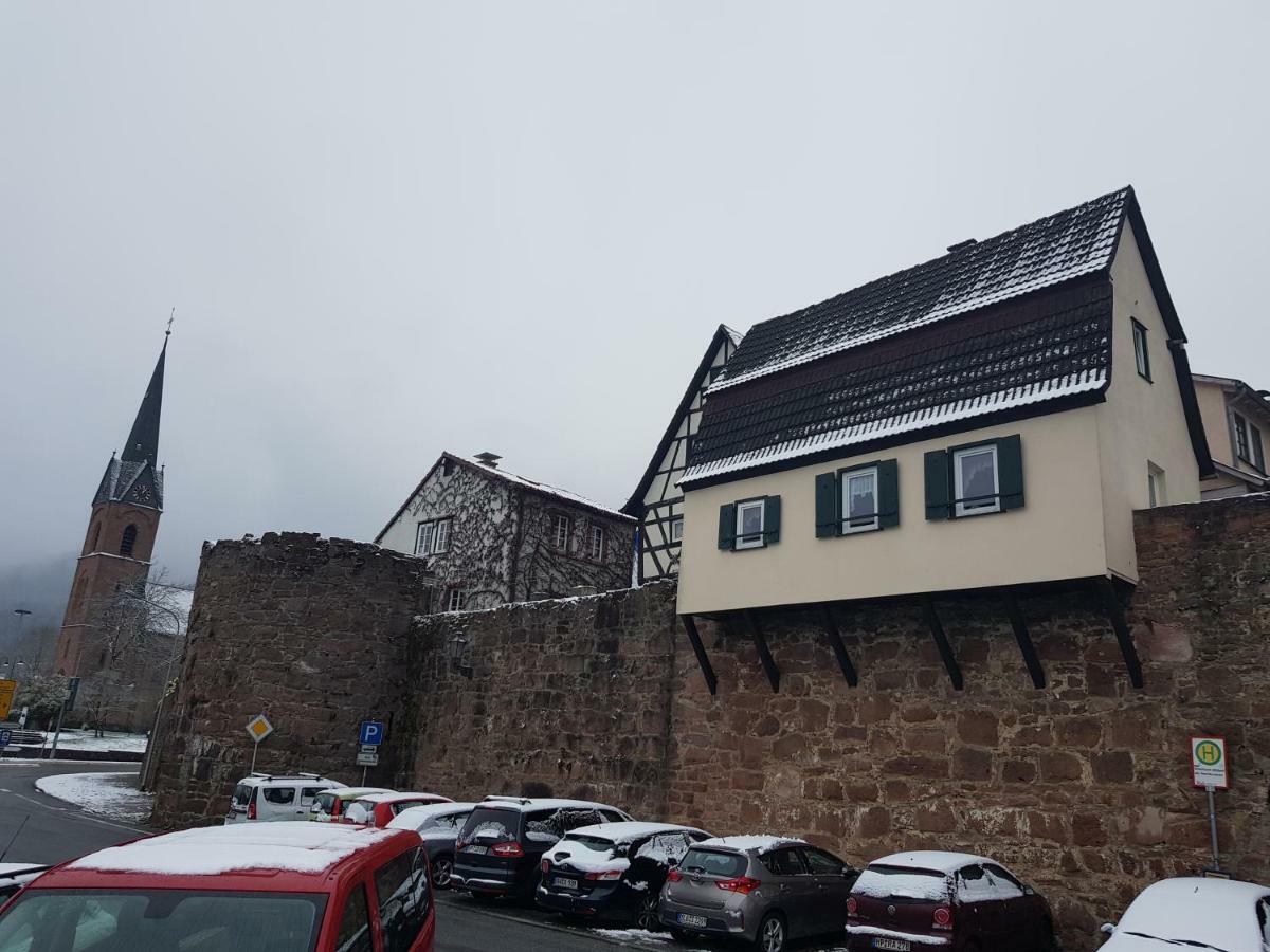 Zauberhafte Wohnung In Der Naehe Von Heidelberg, Top Lage Hirschhorn Luaran gambar