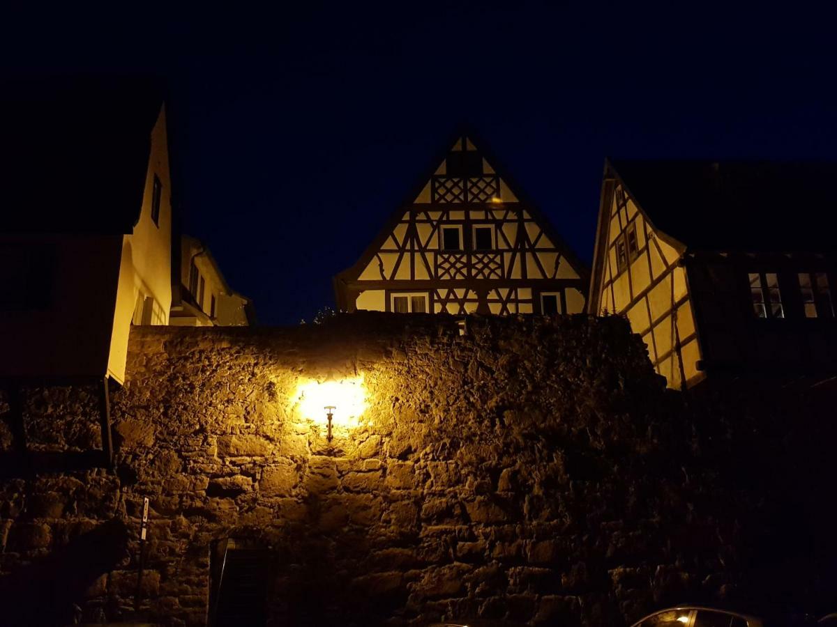 Zauberhafte Wohnung In Der Naehe Von Heidelberg, Top Lage Hirschhorn Luaran gambar