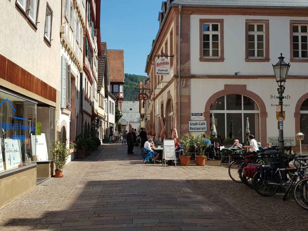 Zauberhafte Wohnung In Der Naehe Von Heidelberg, Top Lage Hirschhorn Luaran gambar