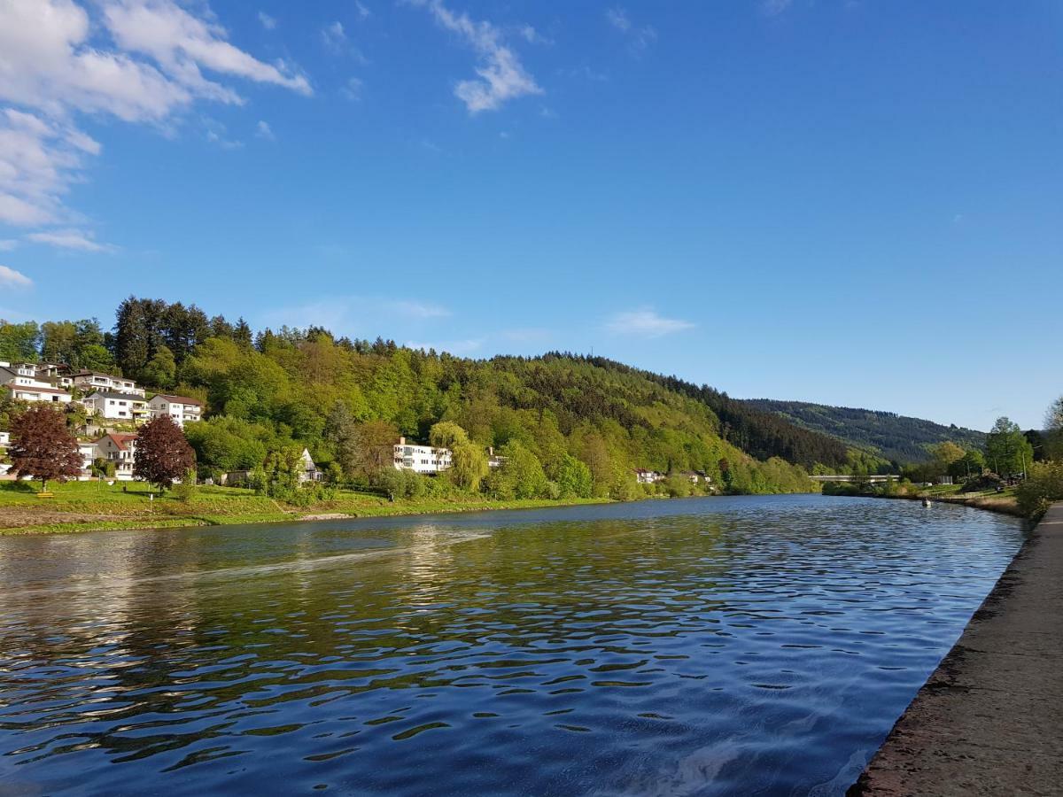 Zauberhafte Wohnung In Der Naehe Von Heidelberg, Top Lage Hirschhorn Luaran gambar