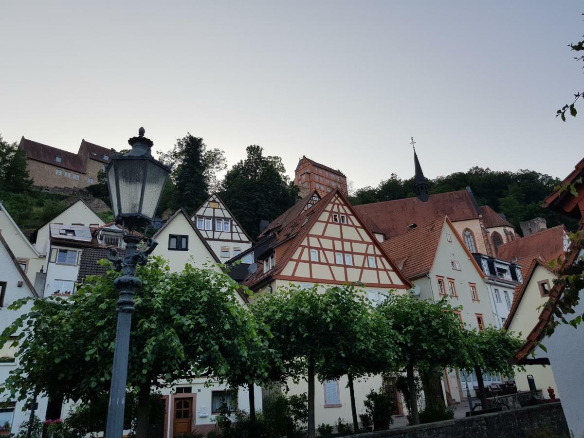 Zauberhafte Wohnung In Der Naehe Von Heidelberg, Top Lage Hirschhorn Luaran gambar
