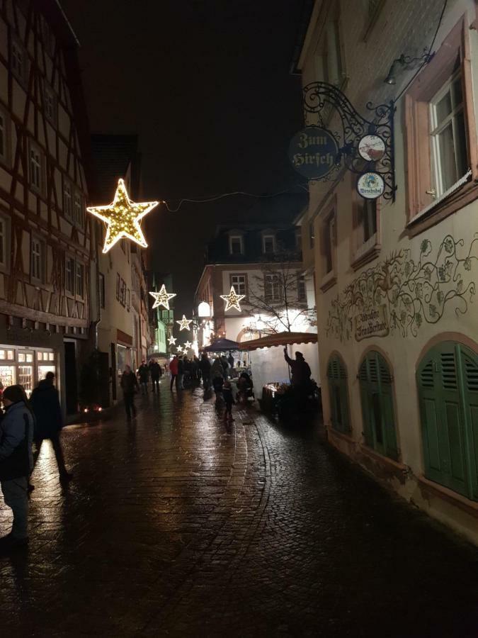 Zauberhafte Wohnung In Der Naehe Von Heidelberg, Top Lage Hirschhorn Luaran gambar