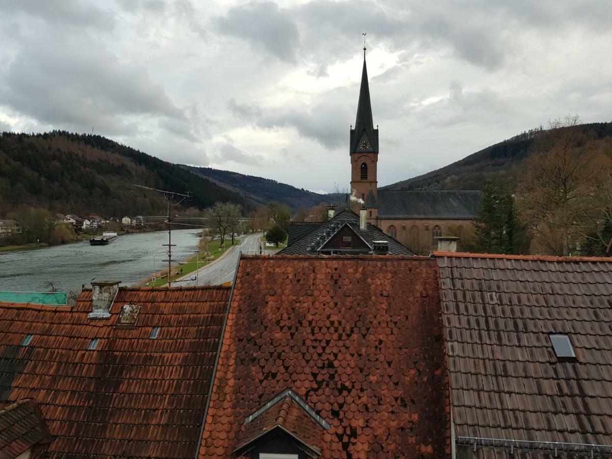 Zauberhafte Wohnung In Der Naehe Von Heidelberg, Top Lage Hirschhorn Luaran gambar