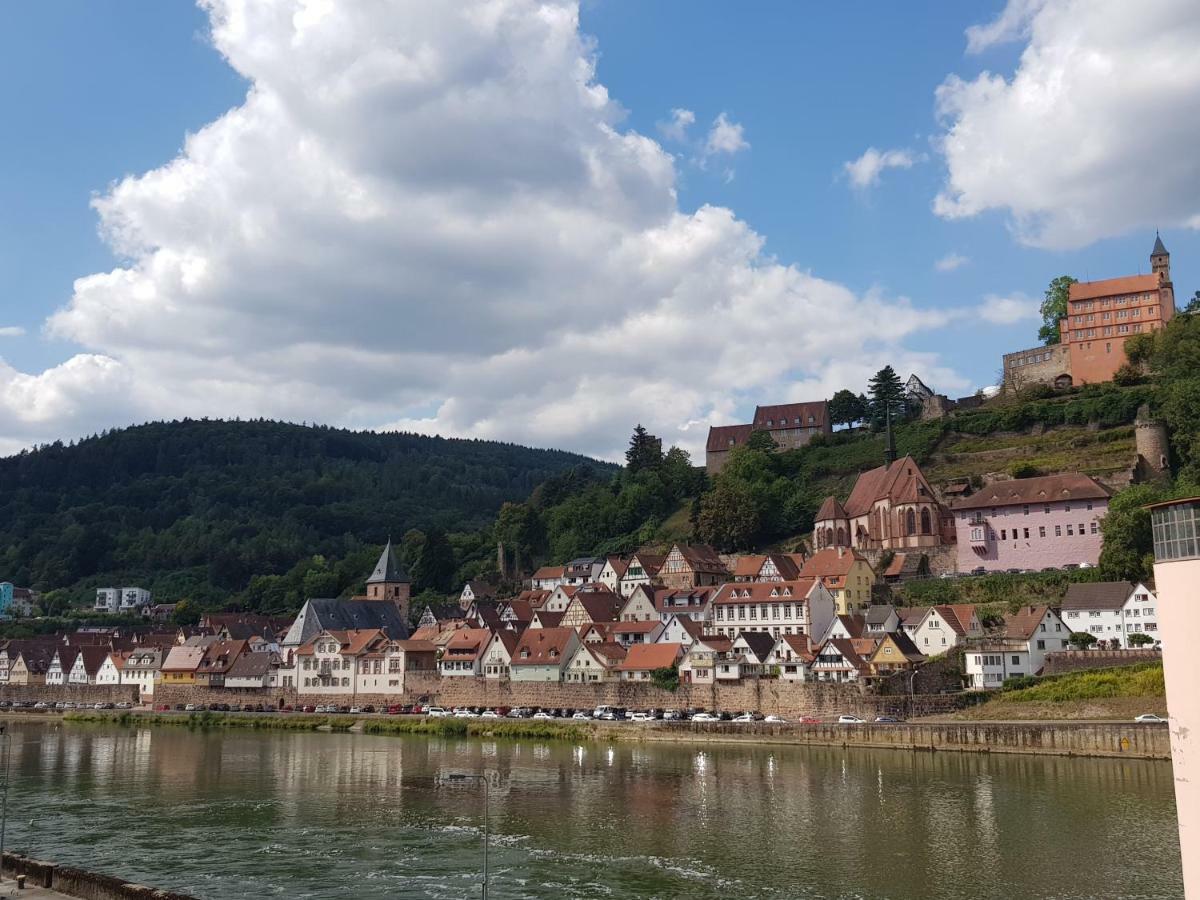 Zauberhafte Wohnung In Der Naehe Von Heidelberg, Top Lage Hirschhorn Luaran gambar