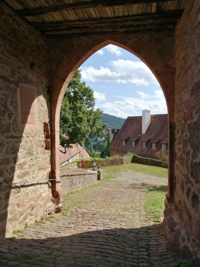 Zauberhafte Wohnung In Der Naehe Von Heidelberg, Top Lage Hirschhorn Luaran gambar