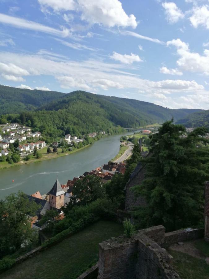 Zauberhafte Wohnung In Der Naehe Von Heidelberg, Top Lage Hirschhorn Luaran gambar