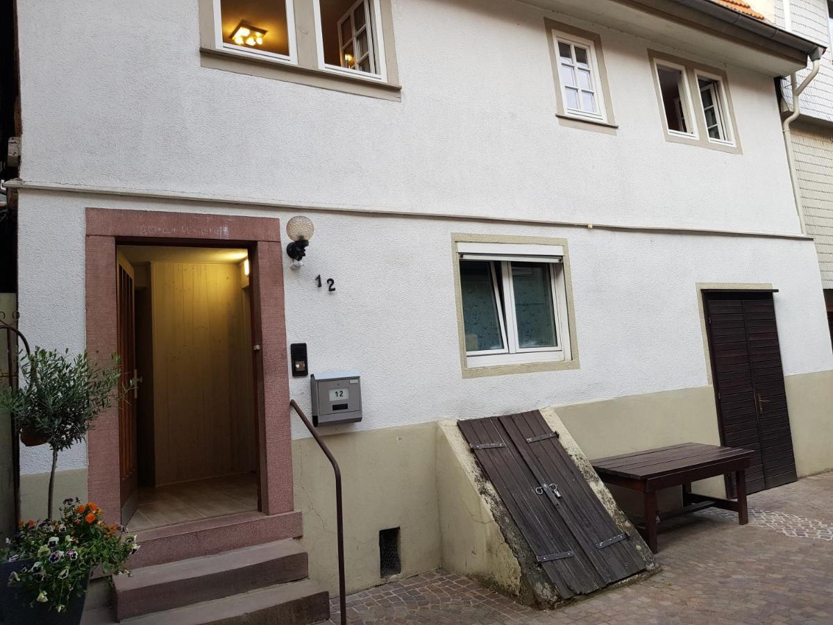 Zauberhafte Wohnung In Der Naehe Von Heidelberg, Top Lage Hirschhorn Luaran gambar