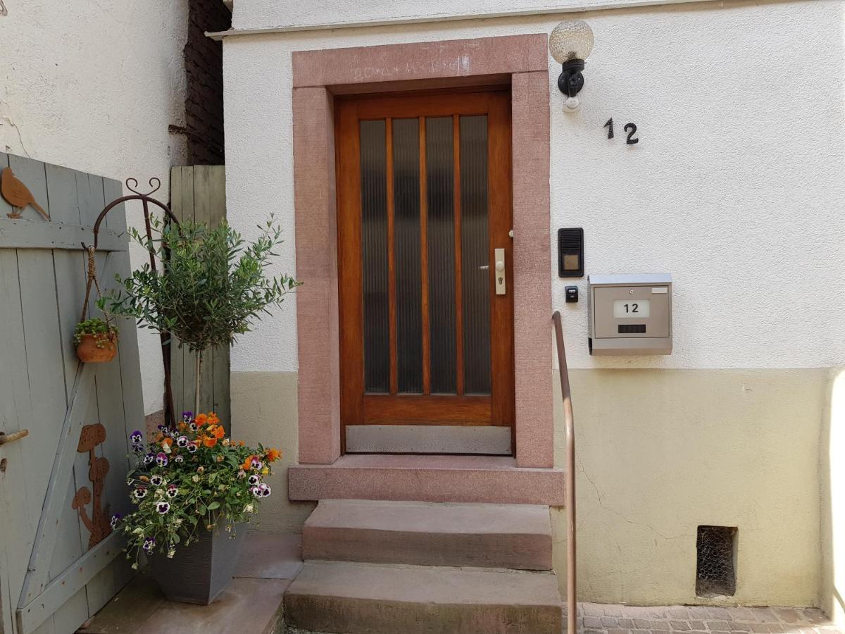 Zauberhafte Wohnung In Der Naehe Von Heidelberg, Top Lage Hirschhorn Luaran gambar