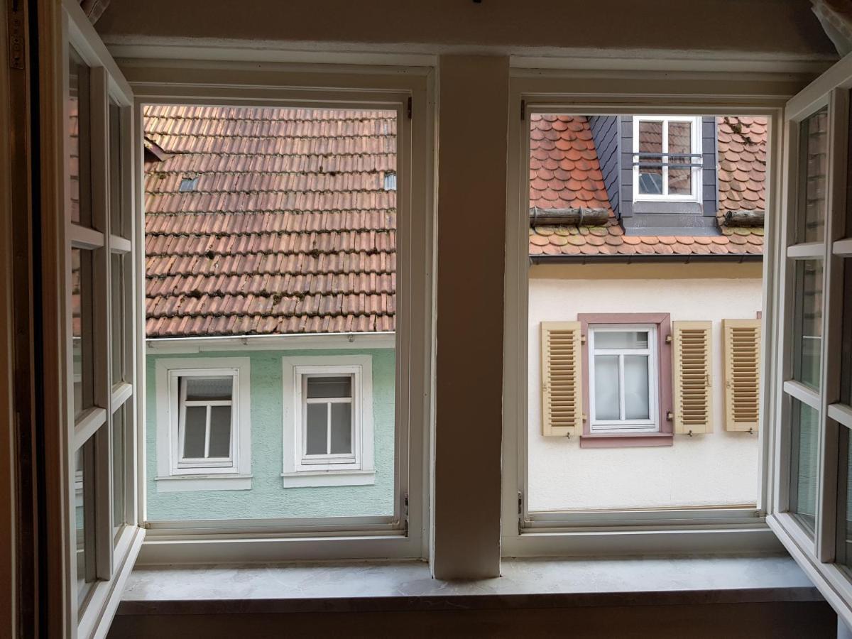 Zauberhafte Wohnung In Der Naehe Von Heidelberg, Top Lage Hirschhorn Luaran gambar